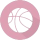 https://img.panyisw.com/img/basketball/team/f30610d5287699786fd19c445e96c178.png