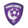 https://img.panyisw.com/img/football/team/c5a548d374c3bb29f1190bf670442c90.png